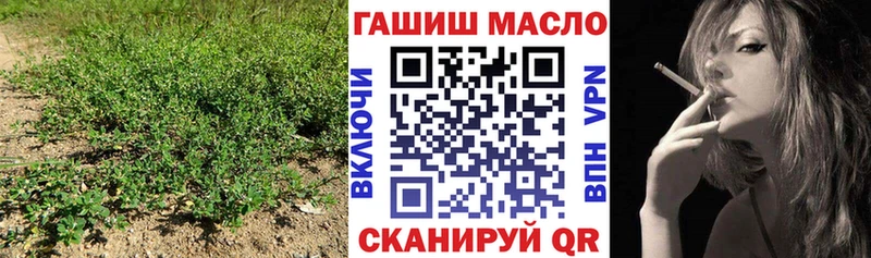 hydra tor  Электрогорск  Дистиллят ТГК концентрат 